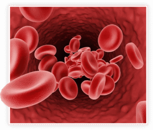 best natural prostate supplements